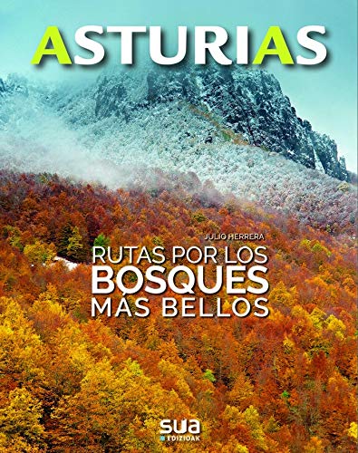 Rutas por los bosques más bellos: 3 (Asturias)