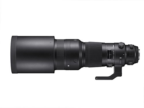 Sigma F4 DG OS HSM Sports - Objetivo para cámara para réflex (500 mm), Negro