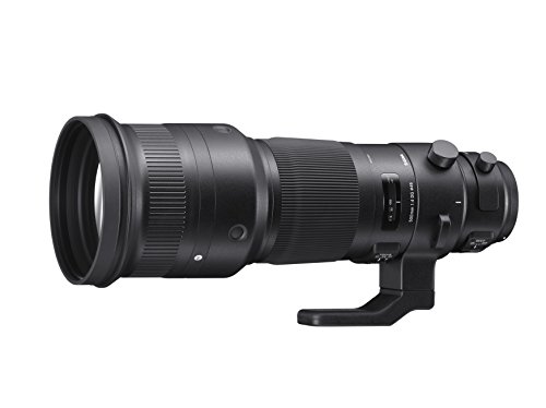 Sigma F4 DG OS HSM Sports - Objetivo para cámara para réflex (500 mm), Negro