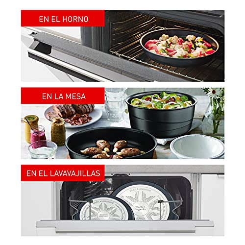 Tefal Ingenio Expertise Juego de 2 Sartenes, Mango extraíble: Sartenes de 22 y 26 cm, mango extraíble intercambiable, Titanium, sartenes antiadherentes, Thermospot, apto horno y lavavajillas