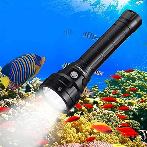 Wurkkos DL40 Linterna de Buceo, Linterna de buceo con 5000 lúmenes. Resistencia al agua IPX8, 4 x Samsung LH351D(5000K) 90 Cri LEDs, Linterna de submarinismo con 2 x 26650 baterías y cargador